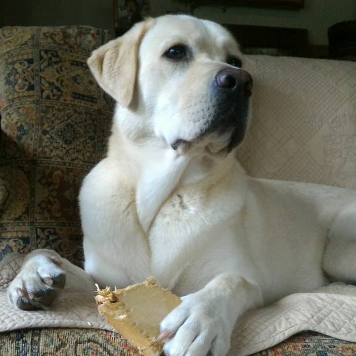 26a23206 a688 4628 853b 23ff5a7a7c66