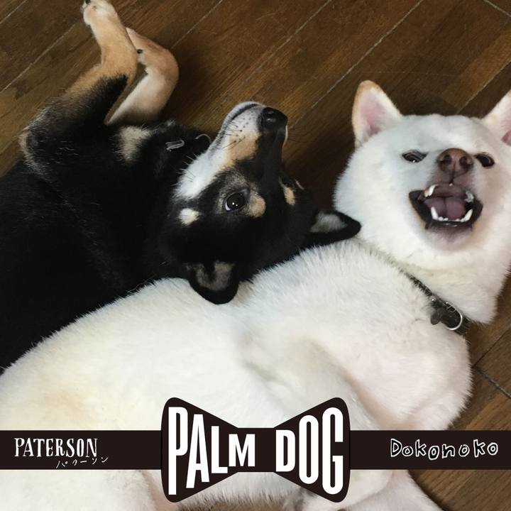 26a3c94a d1f3 45d7 9d2d 6474a6cb4735