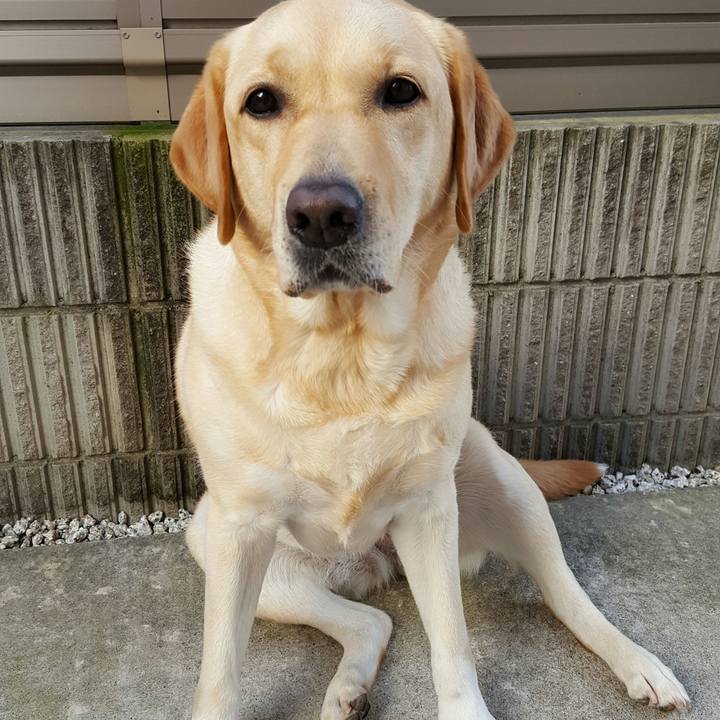 26a3f0bc 333f 4a11 bf8d 3f9214bdf018