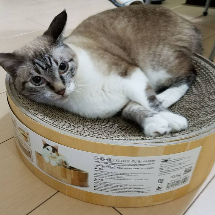 26a3fff4 7991 4043 a35d 47cb9fa5f121