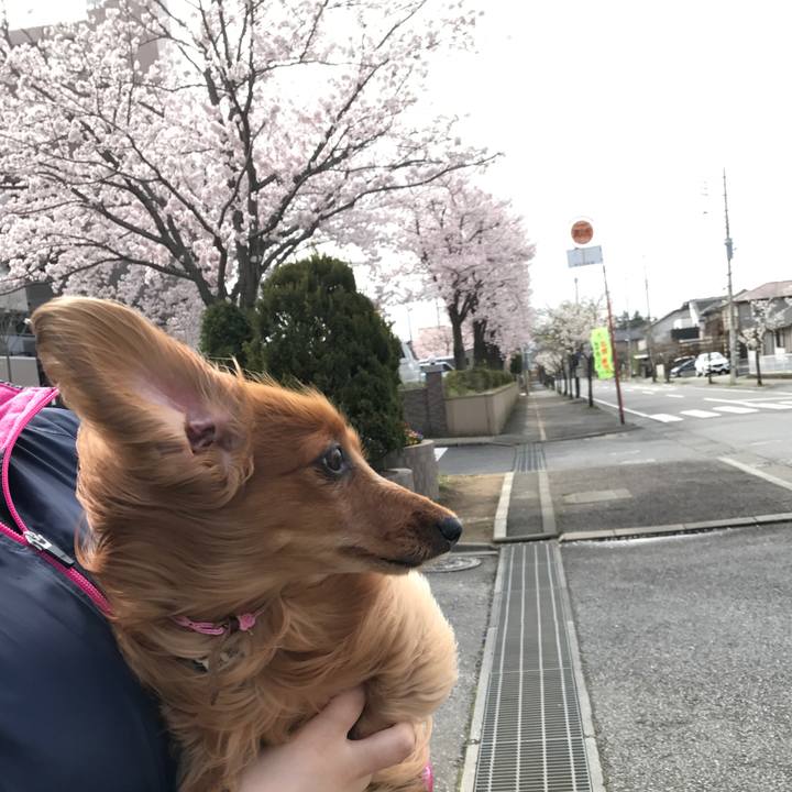 26a4515e 41c1 4e77 be0e 70ea53df8a23