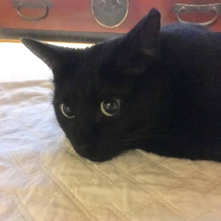 26a4d95a 0ce6 4f9e b7b0 a3a6d86a6803