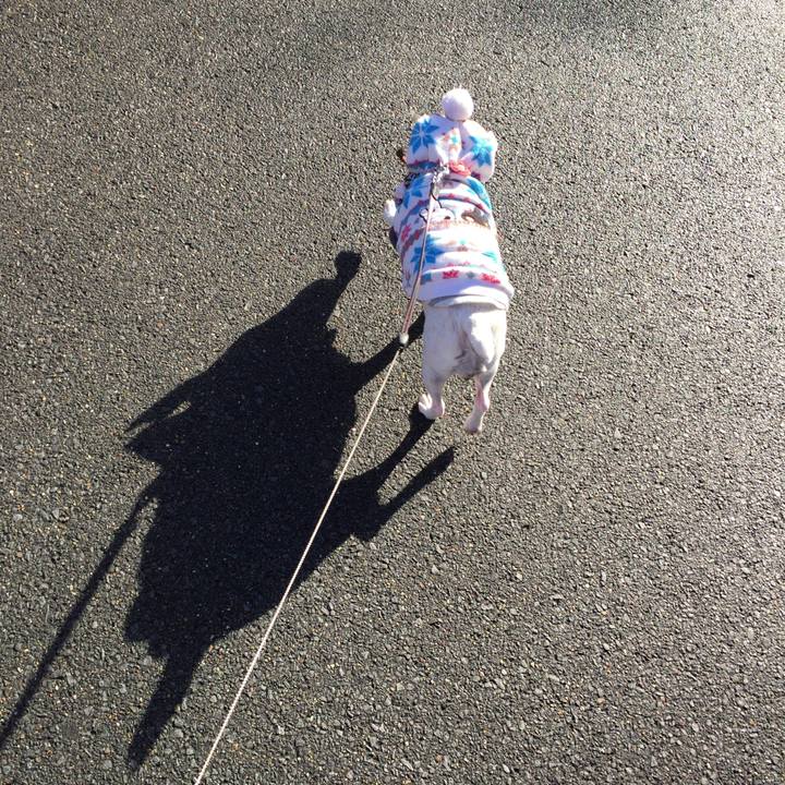 26a56c86 8b2a 4799 b208 22178e20a571