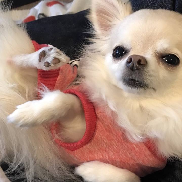 26a57ed2 c0a2 4b67 bed7 0113e3d882ae