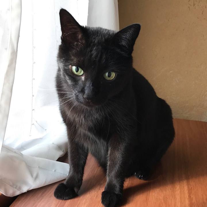 26a6c9fa c92e 4e43 912d 1a8aa65ae19e