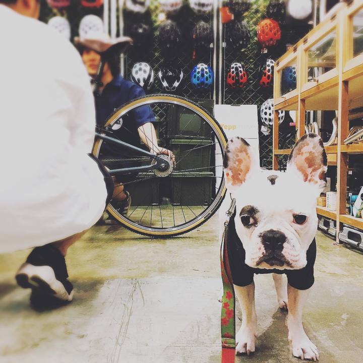 26a7aae5 f09f 463c ab6d a1a7fe1cdfd7