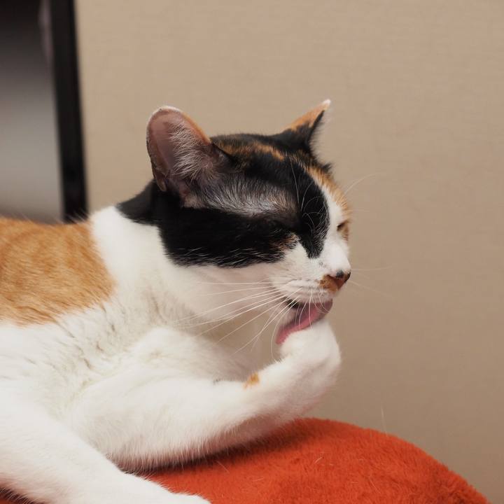 26a7fab5 2935 44f3 b21a 6249e7fee131