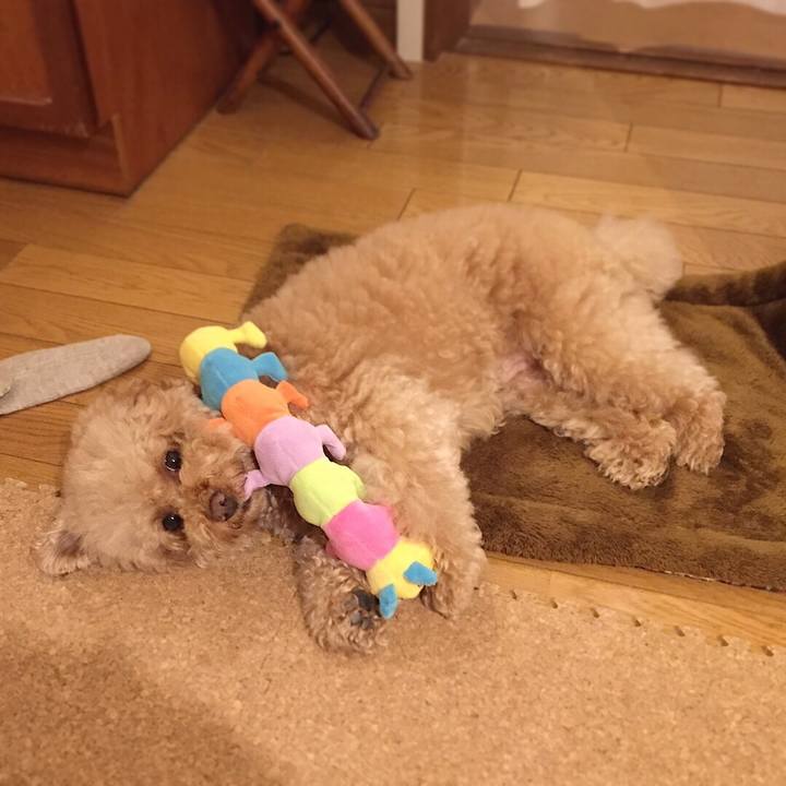 26a95eae dcb9 42f9 877b ce8d7b323d9d