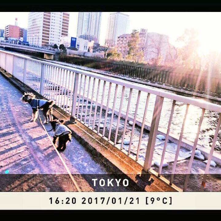 26a973e8 5868 482d 9dcd d8c6e2b19438