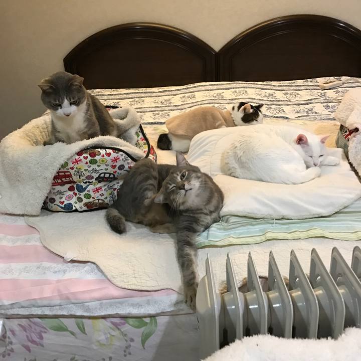 26a9fe39 7250 43f1 8854 e52458eae4c9