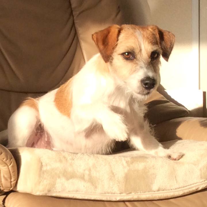 26aa35e3 f25b 4ff5 a85f f9b9ab912668