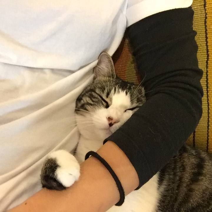 26aa37f3 5977 4868 a85c fe0578a81b21