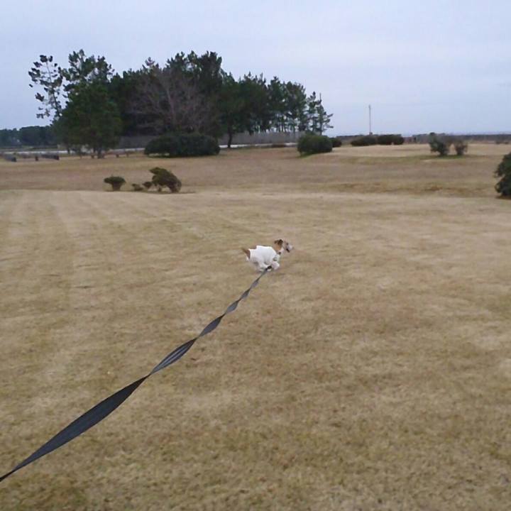 26ab6484 d038 4fcd 93e1 98a338f340b8