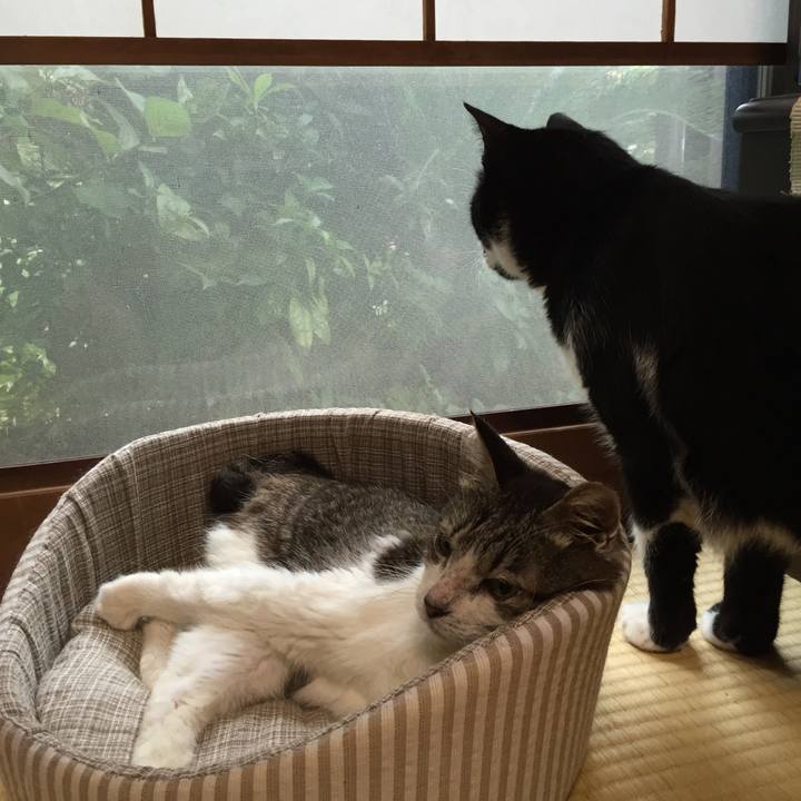 26ab7442 1c7a 4c4d b027 2270de053a0c