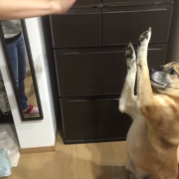 26ac1223 bd4f 4831 8136 ba72306054fb