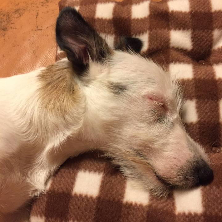 26adc67e 1549 40b9 b3e2 5e93fc6ef78a