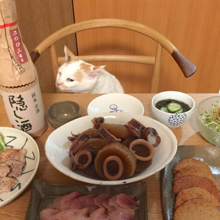 26add9a8 0b32 455a a54b 768757138fad