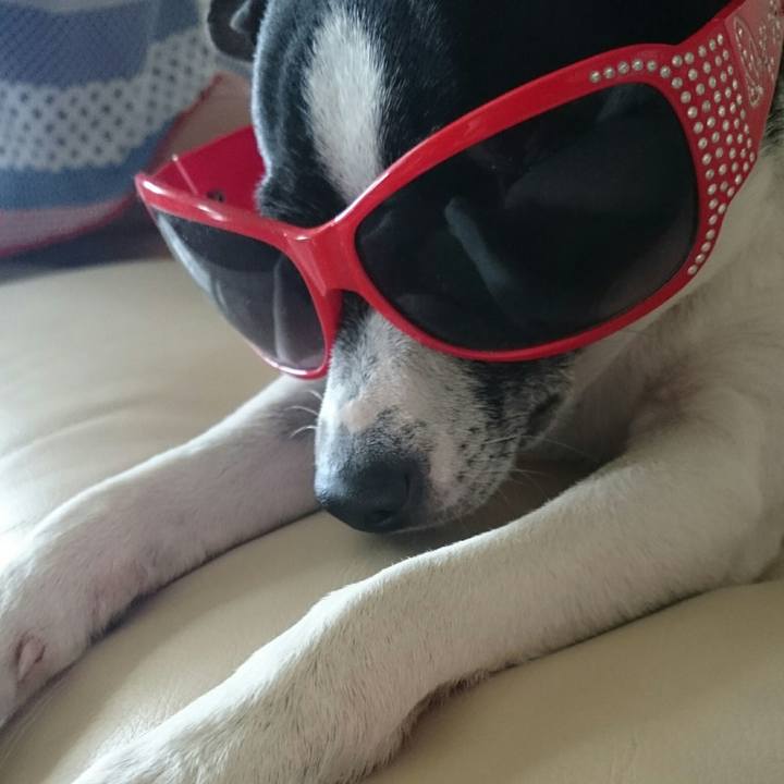 26adfbf2 713a 410d 98b9 327bb6d43c1a