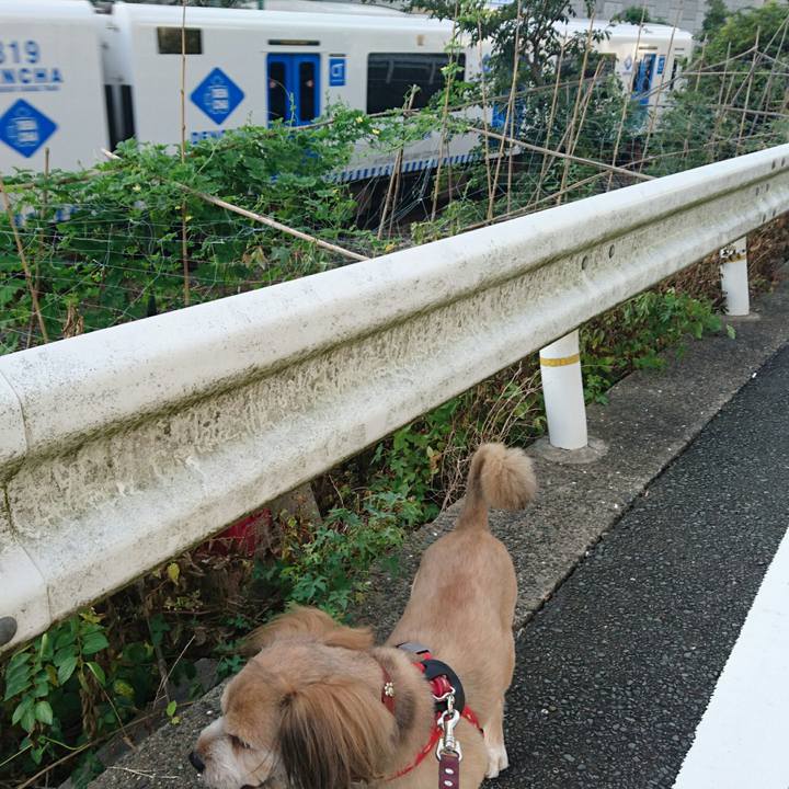 26ae53fb 99f7 40dc a48f 6afcc2f4d427