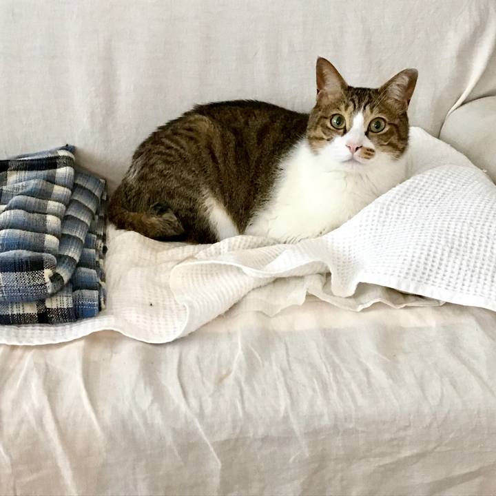 26ae58f6 9cb0 497e aa82 431ad98582b4