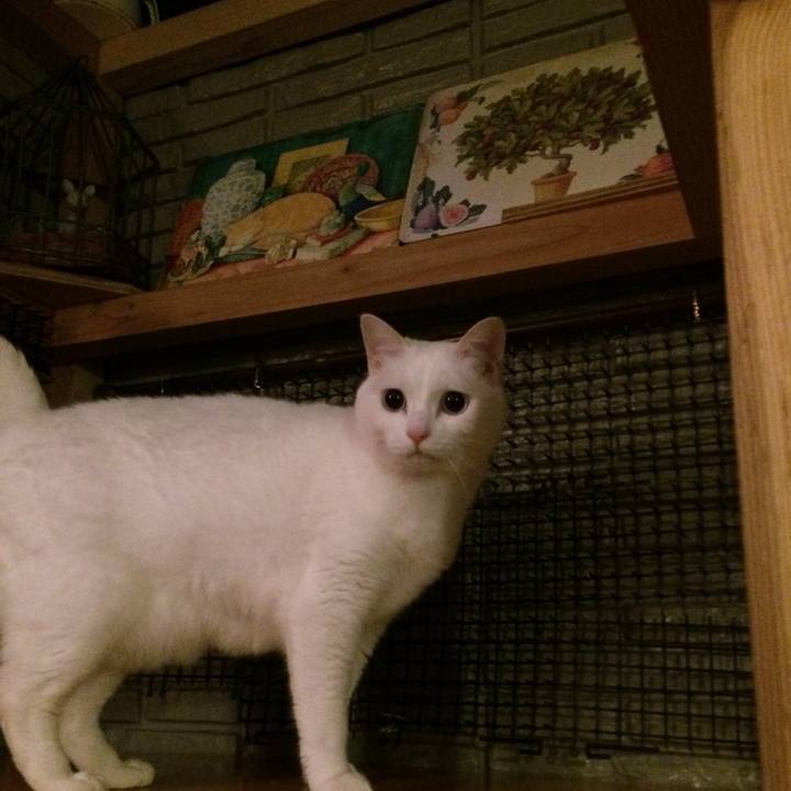 26aef9b6 ad82 43f4 83a1 5f319ac71f4b