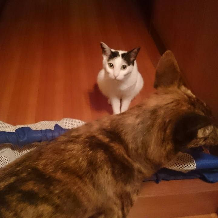 26af3fb7 3267 41df 96ab a2aeea560b96