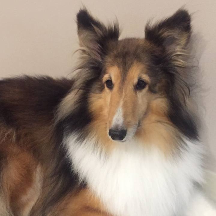 26af8d2d 22b3 40a1 a4f3 b203bbc763c5