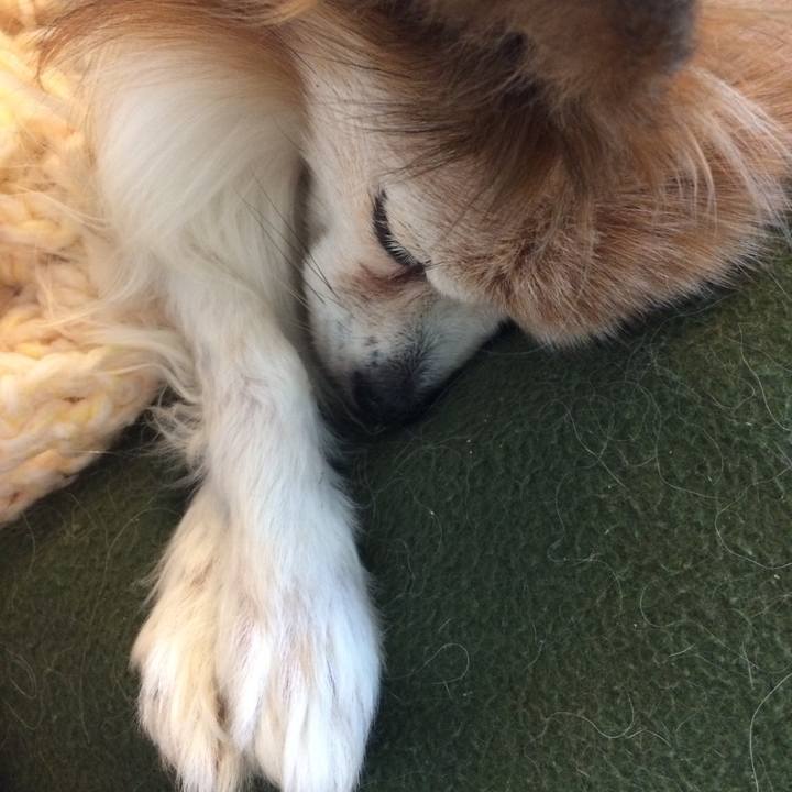 26b029ce 42c0 4ba2 9193 8e8e873079af