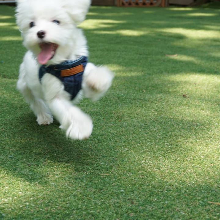 26b041cf c33f 4f09 8feb 3bcb719f4b68