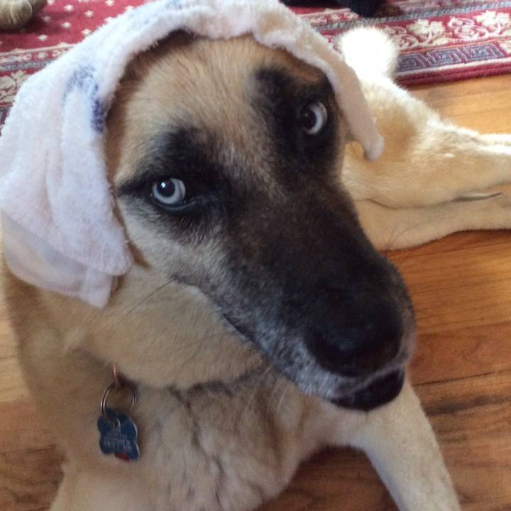 26b06ab0 04a5 427b 9215 ab0f7108ae03