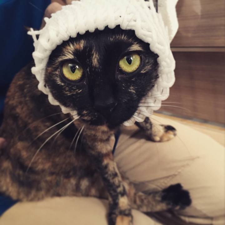 26b06de8 ca9e 46c0 9c4f d6d44a5a1b9f