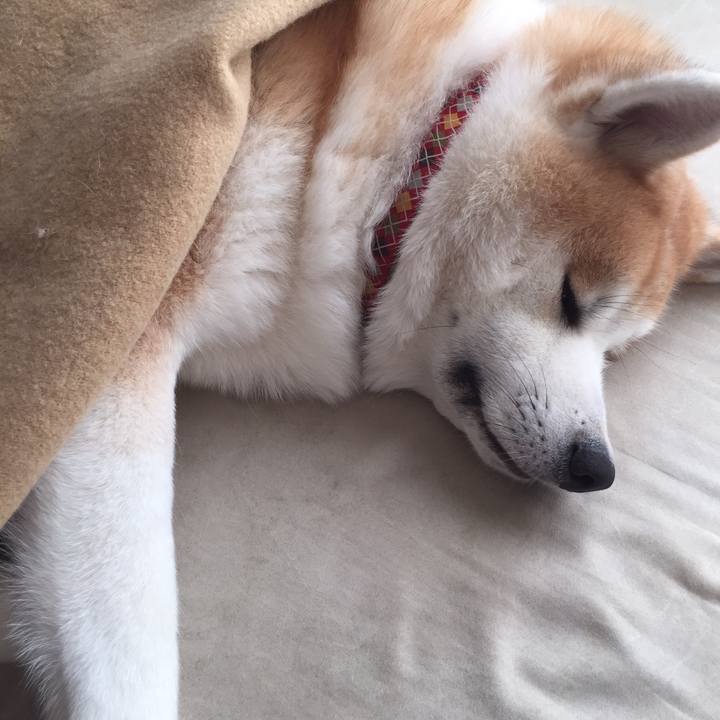 26b11e6e ef9f 474a bbd5 f15d5d0f1965