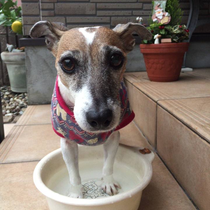 26b24a9b e9ac 4f31 9e57 c7b022eb0aed