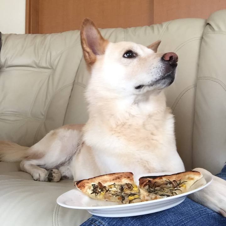 26b358cd c1c8 4e7c 868e 4f066d4ed885