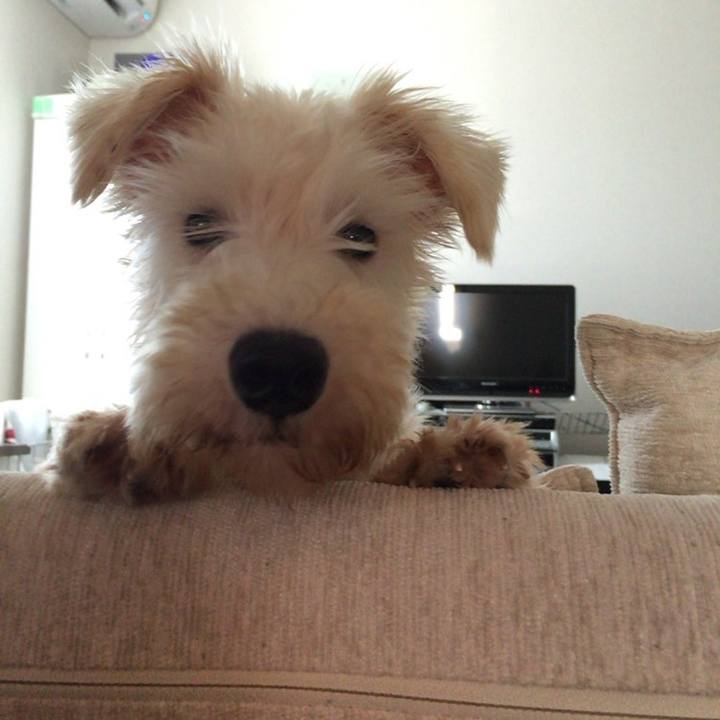 26b3ac70 ad10 489e 93d9 3c21adbe5e04