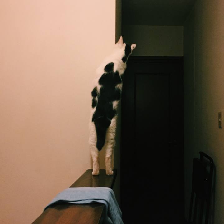 26b49970 5e8f 426d 916d 8a9ab4c05849