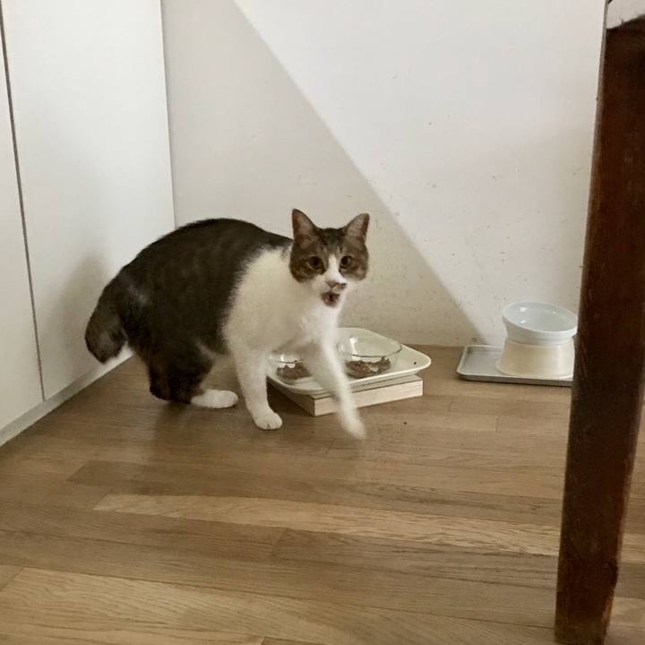 26b5232f d234 4b53 9635 9fde2b481bca