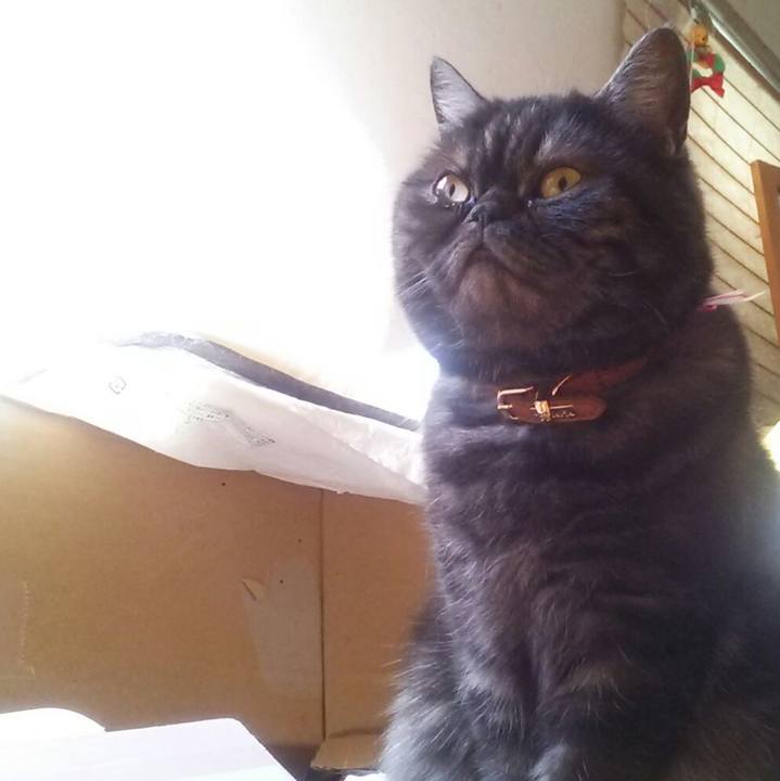 26b56f62 57d5 4904 93a0 9d5a6bb73295