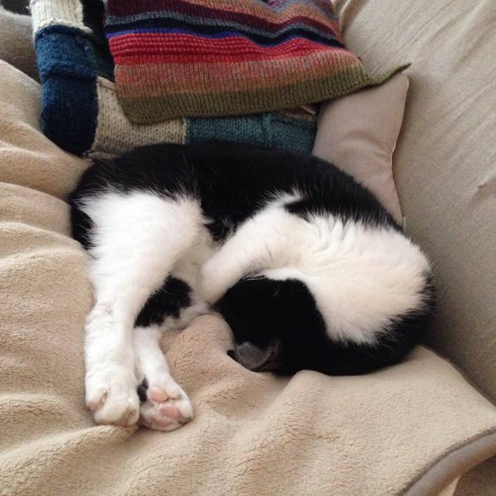 26b5fa7e 24ef 4a68 82ec 80ed25ff2993