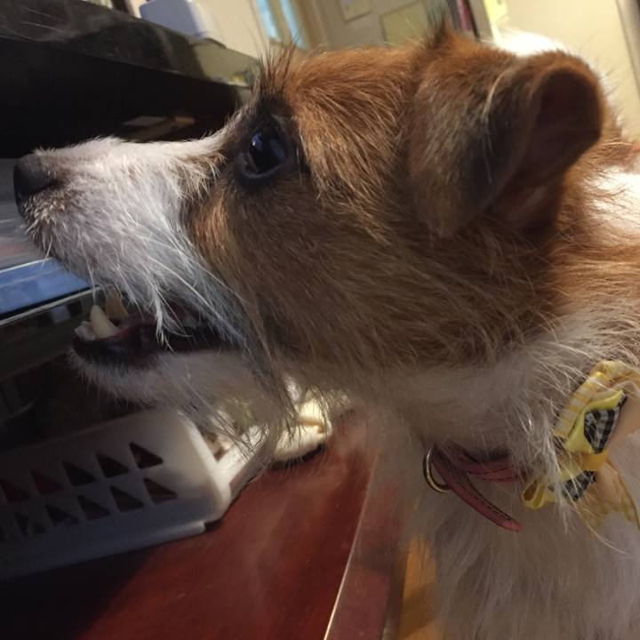 26b67051 d441 4743 a385 2f43c72248c4