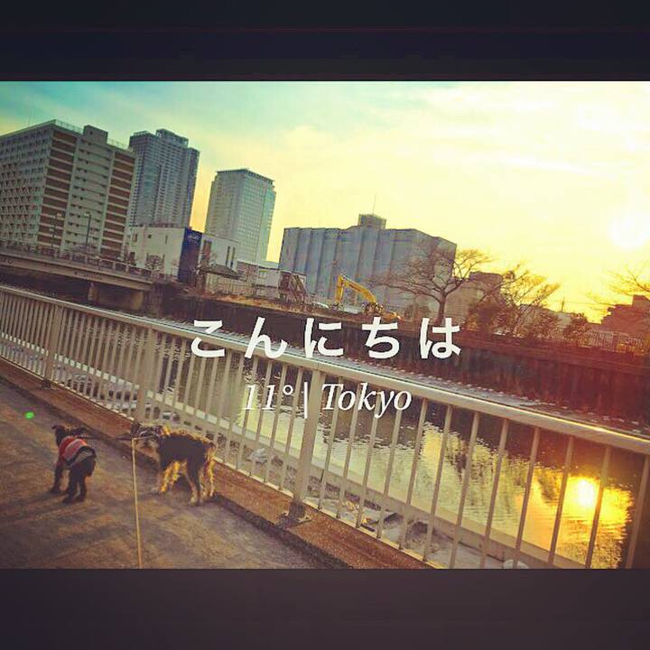 26b76e05 adce 4656 8d70 534781779e6e