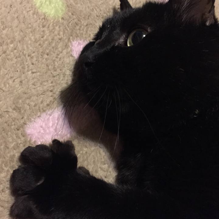 26b80022 a15f 48d4 aa2f 8eacc105c6f9