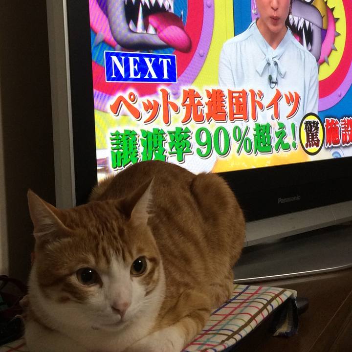 26b82cae adfa 4ca7 b40e 6a1d1b1ebefd