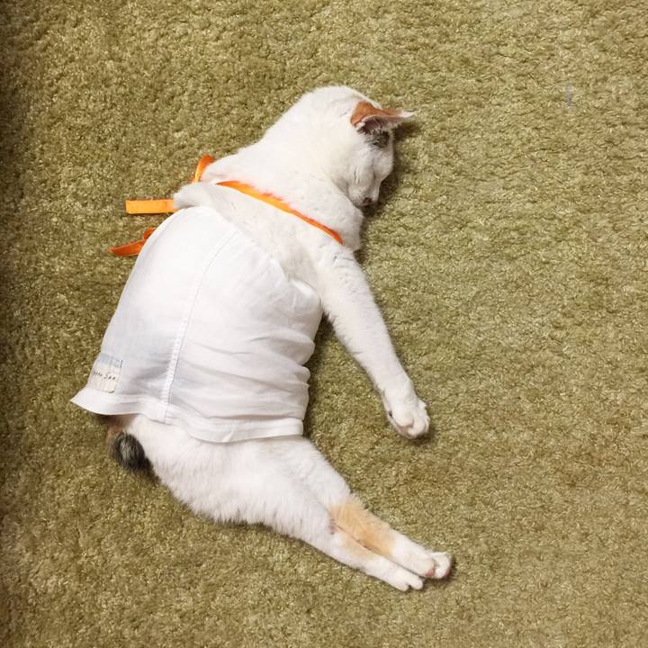 26b8610e 48d3 4df9 b946 1fade4c56dd9