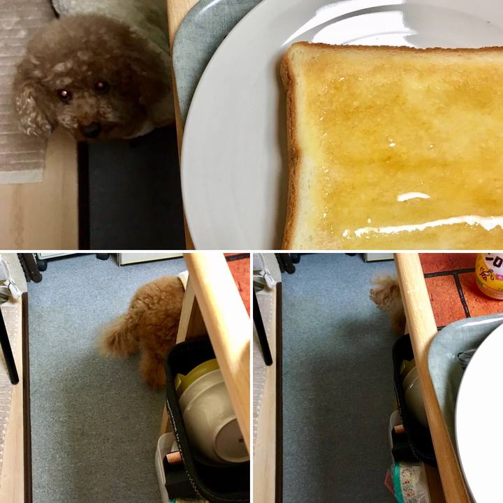 26b93f37 d047 4f3e a8f6 abe31dc3c7cd