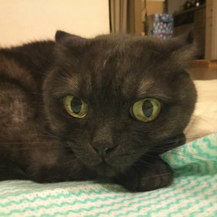 26b9406b ebb8 4ed4 80f3 8e8bbd204bd3