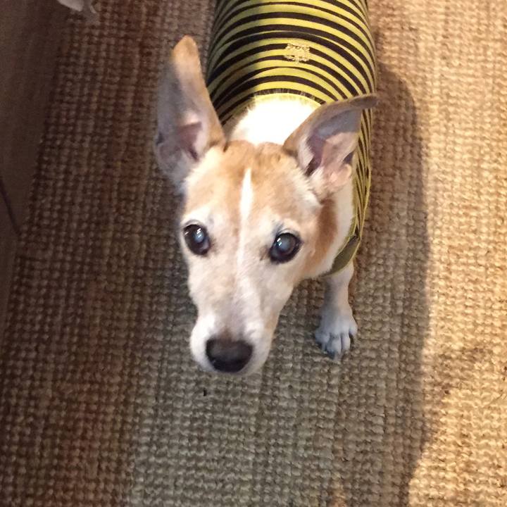 26b95070 5a28 44e0 ba7b aa9e55c94570