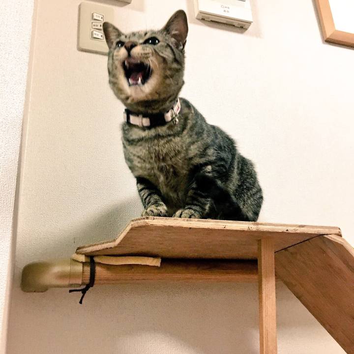 26b96006 cd5a 42ee 875a 645216b3587a