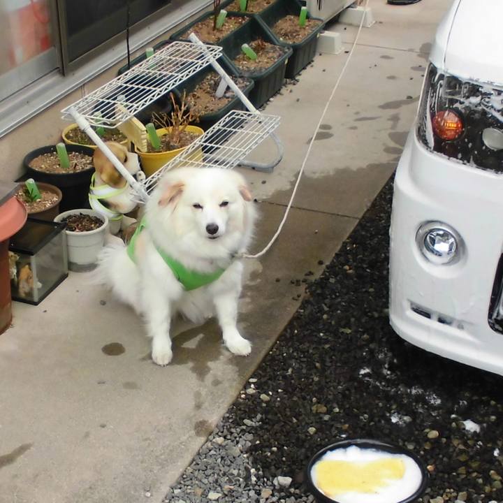 26b96027 1f0d 4c30 9669 9f1d8fbe8472