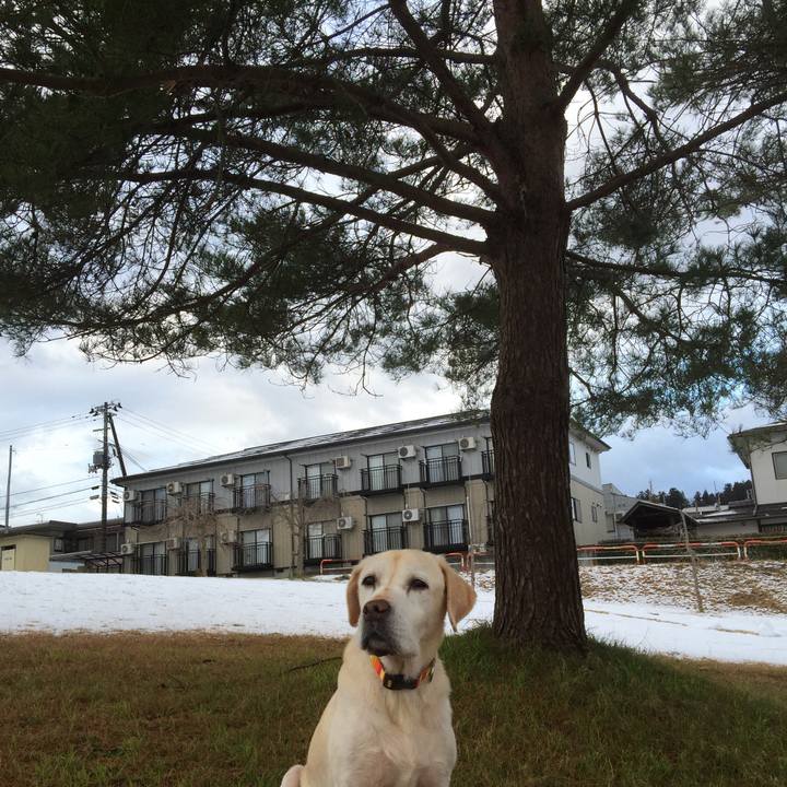 26ba3a0b a489 485a 989a 6dbc14a6e423